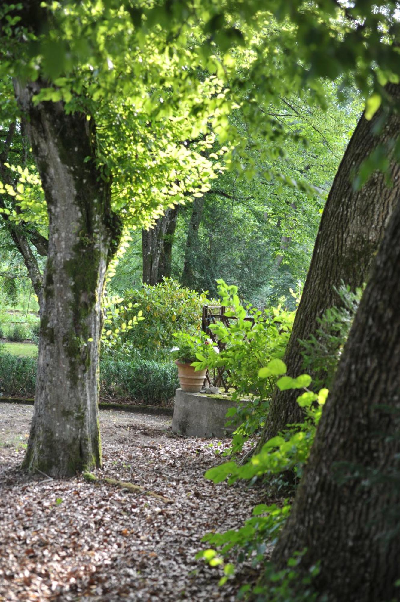 La Maison D'Hotes Du Parc Ronchamp Eksteriør billede