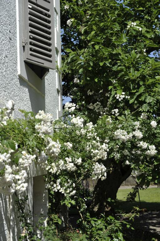 La Maison D'Hotes Du Parc Ronchamp Eksteriør billede