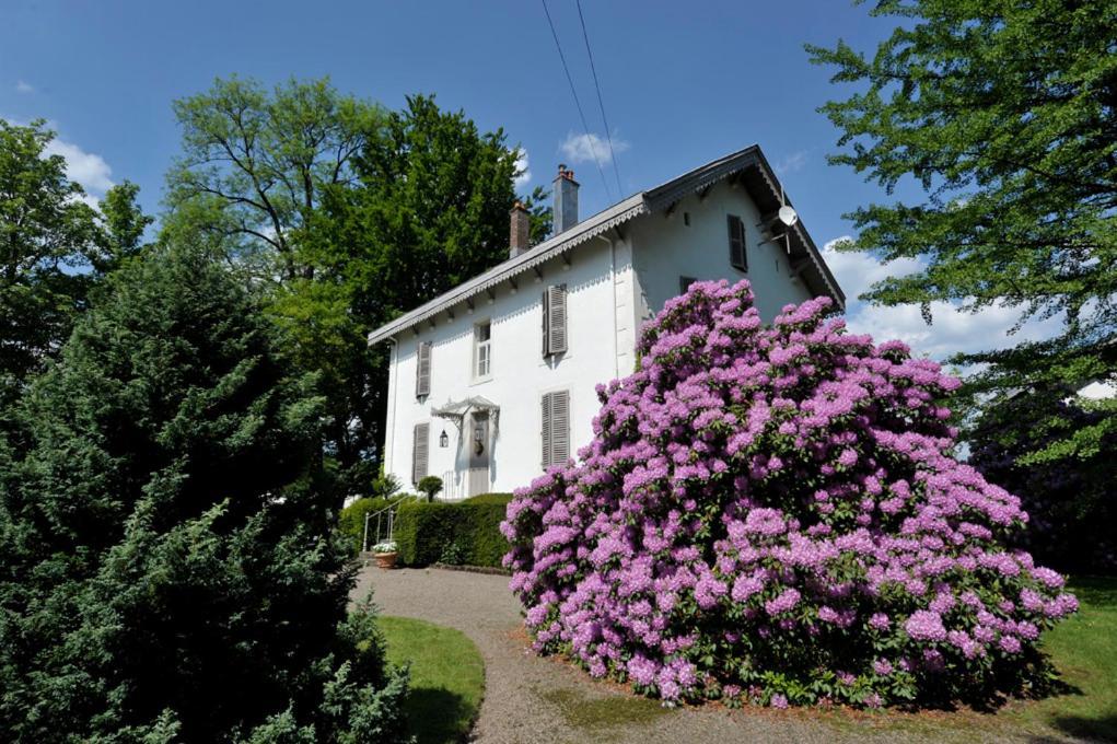 La Maison D'Hotes Du Parc Ronchamp Eksteriør billede